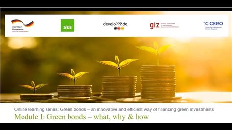 Green Bond Online Learning Series Module 1 Green Bonds What Why