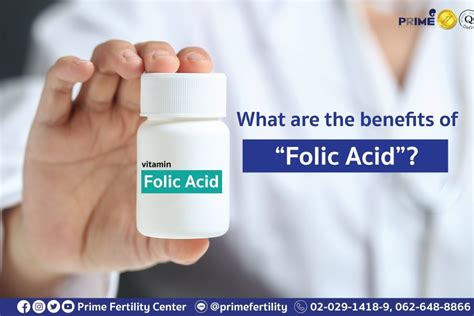 What Are The Benefits Of Folic Acid Prime Fertility Center