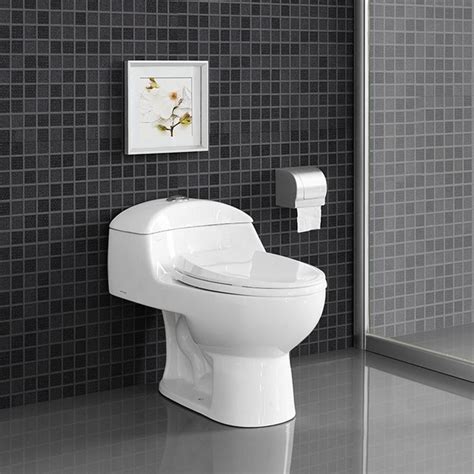 Swiss Madison Chateau 1 Piece 08128 Gpf Dual Flush Elongated Toilet