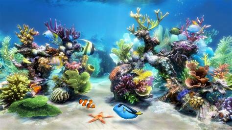 Aquarium Wallpaper For Walls ~ Free 3d Aquarium Screensaver For Windows