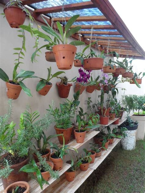Orchid Growing Houses Brazil Small Backyard Gardens Backyard Garden