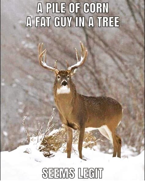 Pin By Suzie K On Lol Hunting Quotes Funny Funny Hunting Pics Deer