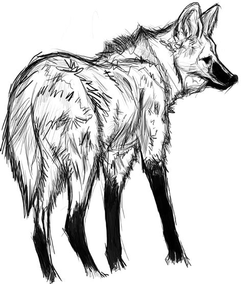 Desenho Do Lobo Guara