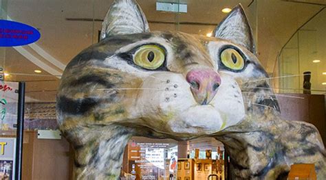 Berikut ialah senarai tempat menarik yang terdapat di sabah yang boleh dikunjungi : Apa yang menarik di Muzium Kucing Petra Jaya? - Sarawak Kita