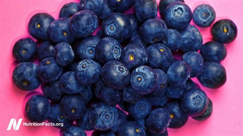 Blueberries For A Diabetic Diet And Dna Repair Youtube