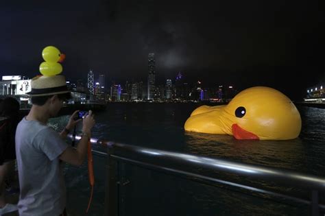 In Hong Kong Giant Duck Makes A Splash Wsj