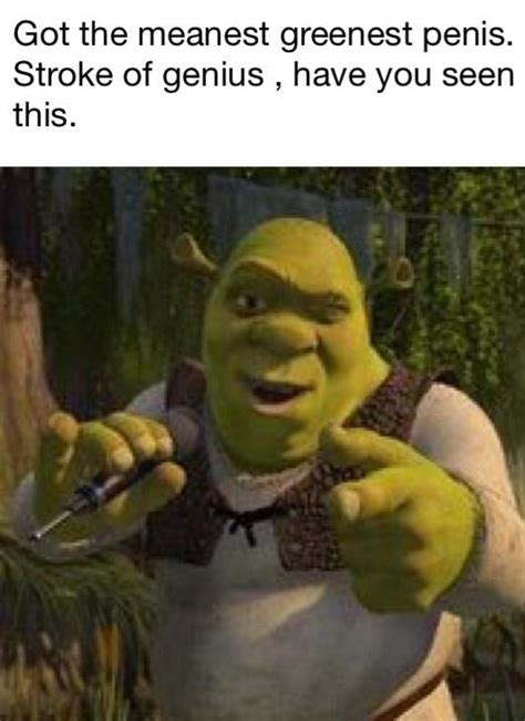 Whenever Someone Says Anything Bad About Shrek Or Shrek