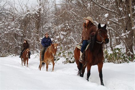 Winter Horseback Riding In Sapporo With Private Transfer