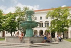Ludwig-Maximilians-Universität München • German U15 e.V.