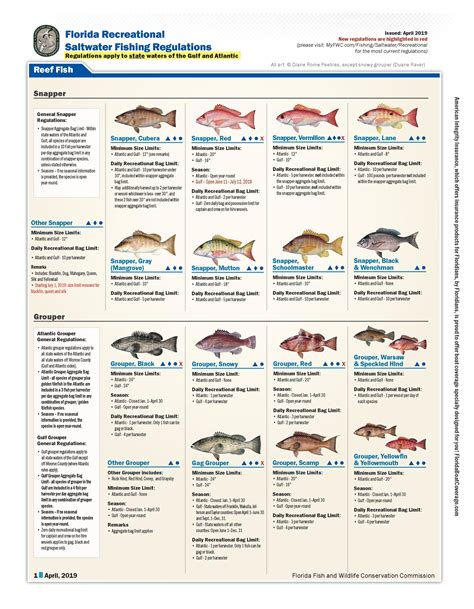 Florida Recreational Saltwater Fishing Bag Limits Seasons