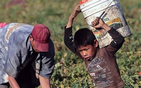 Según datos de la OIT el trabajo infantil todavía afecta a 152