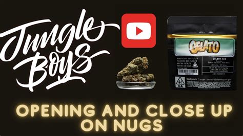 Jungle Boys Gelato Pack Opening And Close Up On Nugs Youtube
