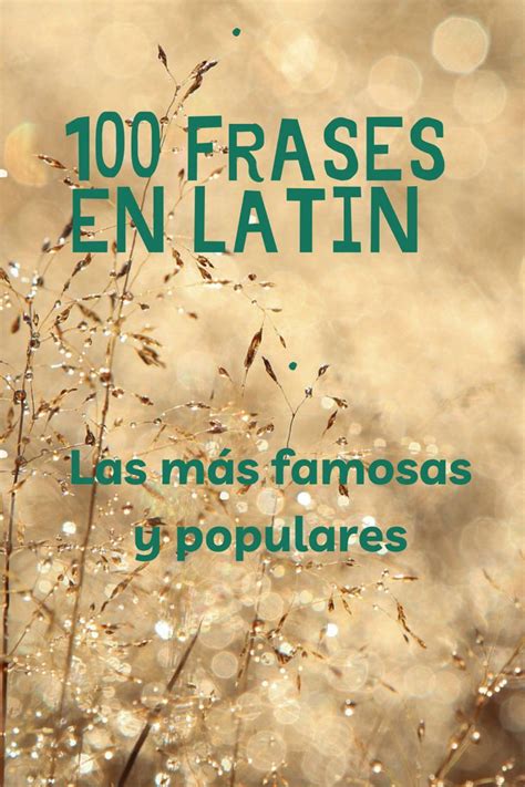 Las 100 Frases En Latín Más Famosas Guía Completa Frases Frases De