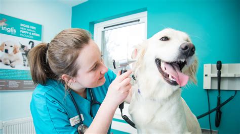 Large Animal Veterinary Services Near Me Get More Anythinks