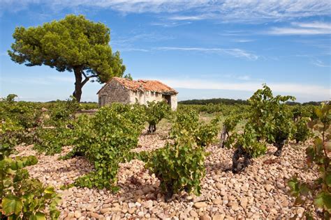 Luberon Wine Tour Full Day Avignon Project Expedition