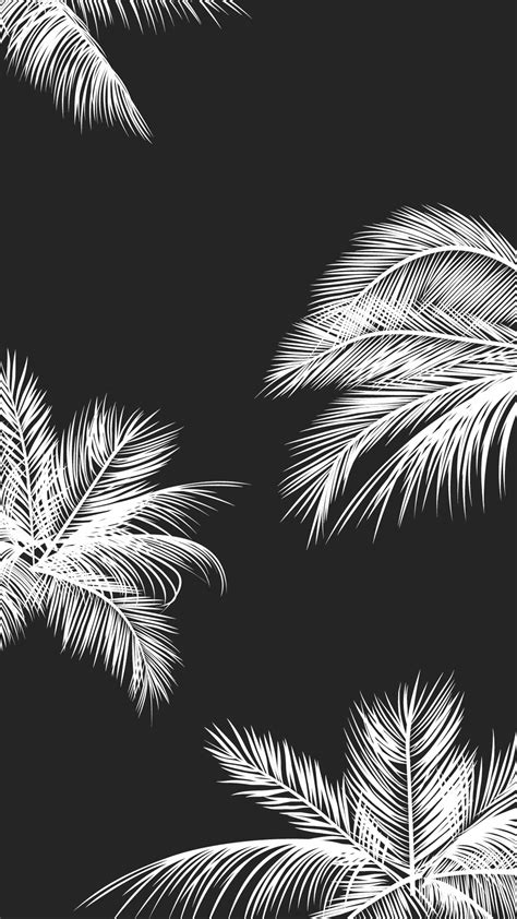 Aesthetic Black And White Wallpapers Top Free Aesthetic Black And
