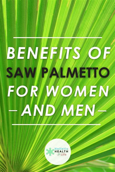 Benefits Of Saw Palmetto For Women And Men Holistic Health For Life