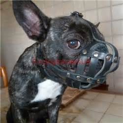 Different types of muzzles for french bulldogs. Flat Face Dog Muzzle for French Bulldog | Soft Dog Muzzle ...