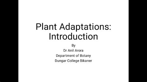 Plant Adaptations Introduction Youtube