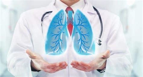 Lungs Health Tips To Keep This Organ Healthy