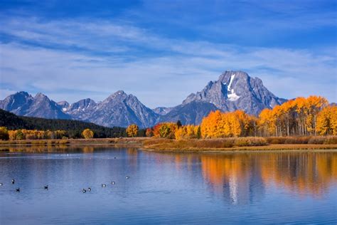 Premium Photo Mount Moran Reflection In The Snake River At Oxbow Bend