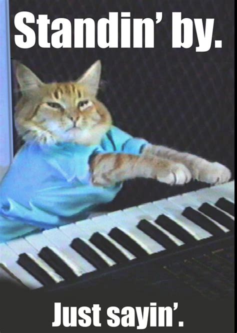 The Life And Times Of Keyboard Cat Everyones Favorite Fail Meme