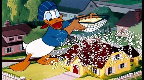 Donald Duck Cartoons Full Episodes Classic Cartoon
