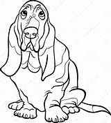 Hound Basset Drawing Coloring Dog Getdrawings Cartoon sketch template
