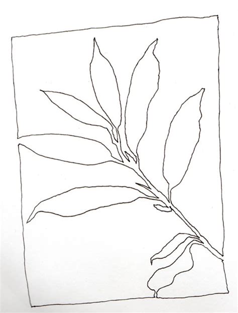 Line Drawing Of A Leaf At Getdrawings Free Download