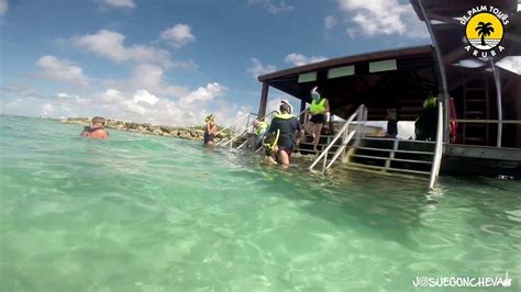 Aruba De Palm Island Snorkeling Youtube