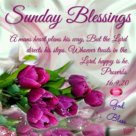 Sunday Blessings good morning sunday sunday quotes blessed sunday sunday blessings good morning 