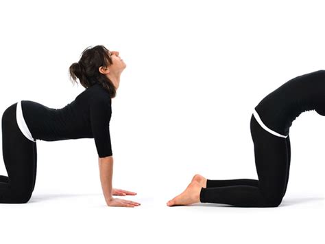 Cat And Cow Pose Yoga Pregnancy Prenatal Yoga Poses For Your St