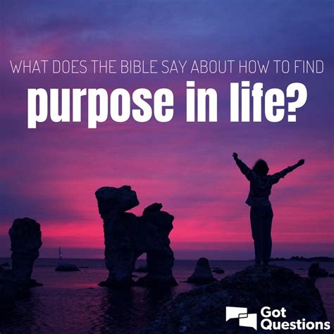 What Does The Bible Say About How To Find Purpose In Life
