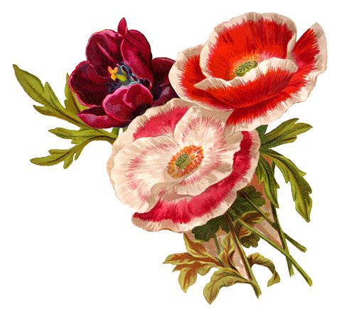 Flower Illustration Flower Artwork Botanical Artwork