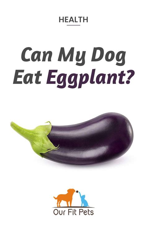 If you're like most people in the u.s., you likely don't get enough potassium in your diet. Can my dog eat Eggplant? | Dog eating, Eggplant, Baby eggplant