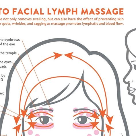 Facial Lymph Massage Direction Guide Poster Printable Etsy