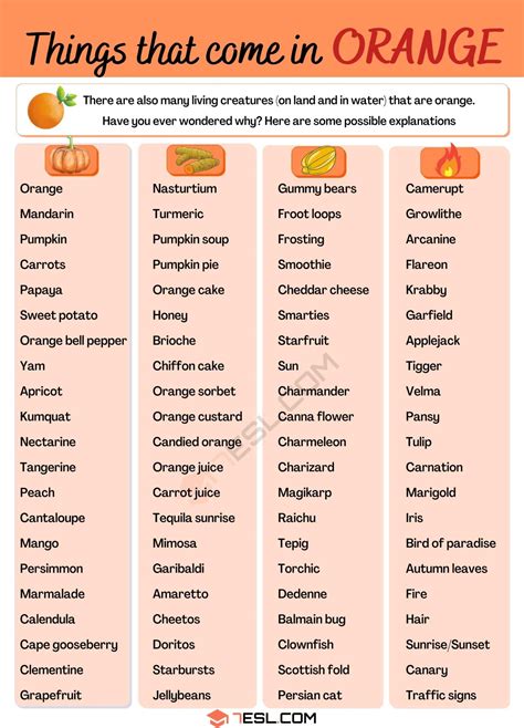170 Interesting Things That Are Orange You May Not Know • 7esl