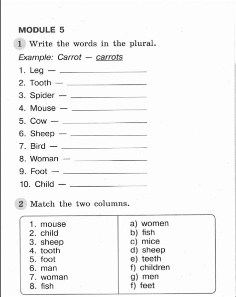 Module Plural Nouns Spotlght Worksheet Plurals Worksheets Nouns