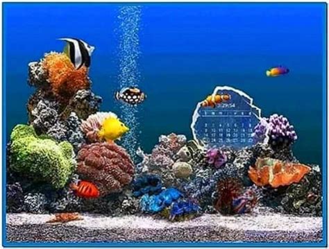 Marine Aquarium 2 Time Screensaver Download Free