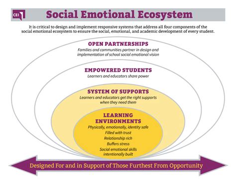 Social Emotional Development The Colorado Education Initiative