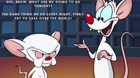 Pinky And The Brain Quotes Shortquotescc