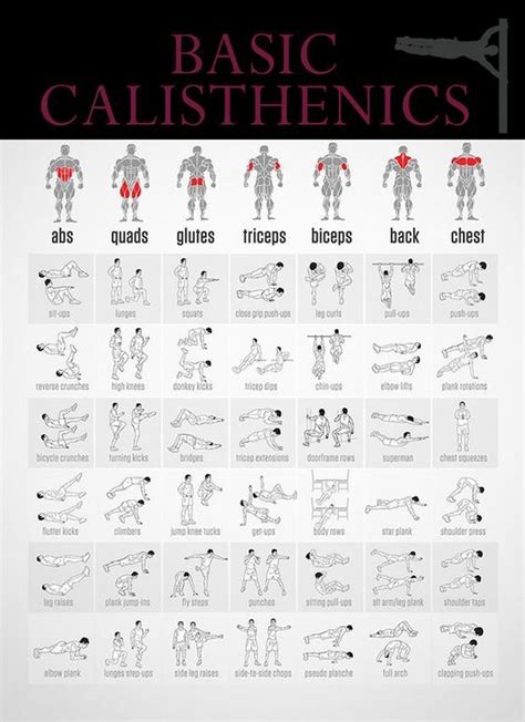 Basic Calisthenics Calisthenics Workout For Beginners Basic
