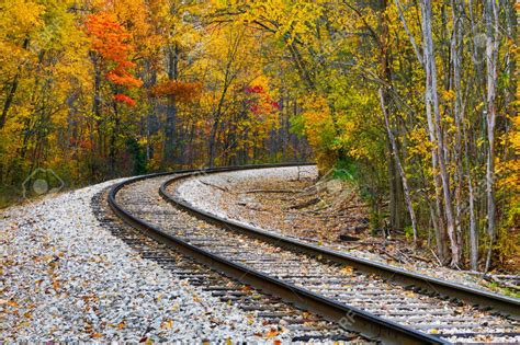 A Train Track In The Middle Of An Autumn Forest
