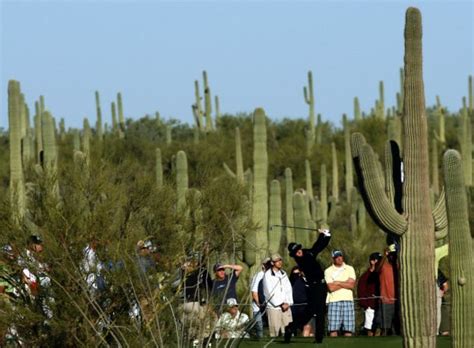 .de arizona , o, oficialmente, el jardín de arizona (17.000 pies cuadrados o 0,16 hectáreas), también conocido como el jardín de cactus , es un jardín botánico especializado en cactus y fotografía del arizona cactus garden alrededor de 1894 del archivo digital de registros del observatorio lick. El millonario negocio del tráfico ilegal de los cactus más ...