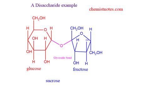 Disaccharides Definition Classification Examples And Reliable