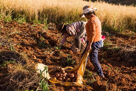 Una Segunda Reforma Agraria Centro Peruano De Estudios Sociales