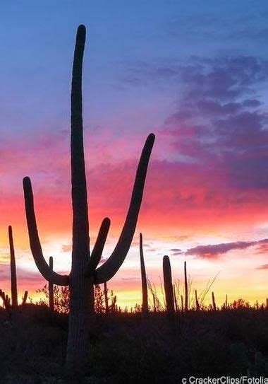 Subscribe to get our latest video's and comment with. 25 Best Things to Do in Tucson, AZ | Arizona road trip ...
