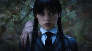 La série sur Mercredi Addams de Tim Burton ENFIN disponible sur Netflix ...