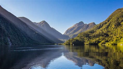 Fiordland Nationalpark Kreuzfahrten And Bootstouren 2021 Top Bewertete