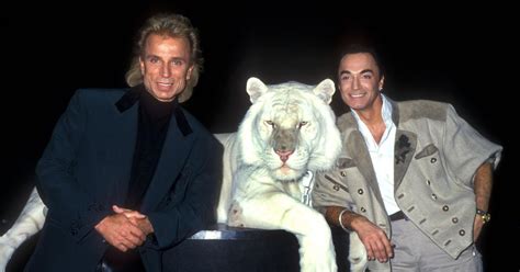 In 2003, a tiger mauled roy horn during siegfried & roy's show. What Happened to Montecore? The 400-Pound Tiger Mauled Roy ...